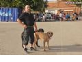 Concurso canino - 21 Concurso canino - 21